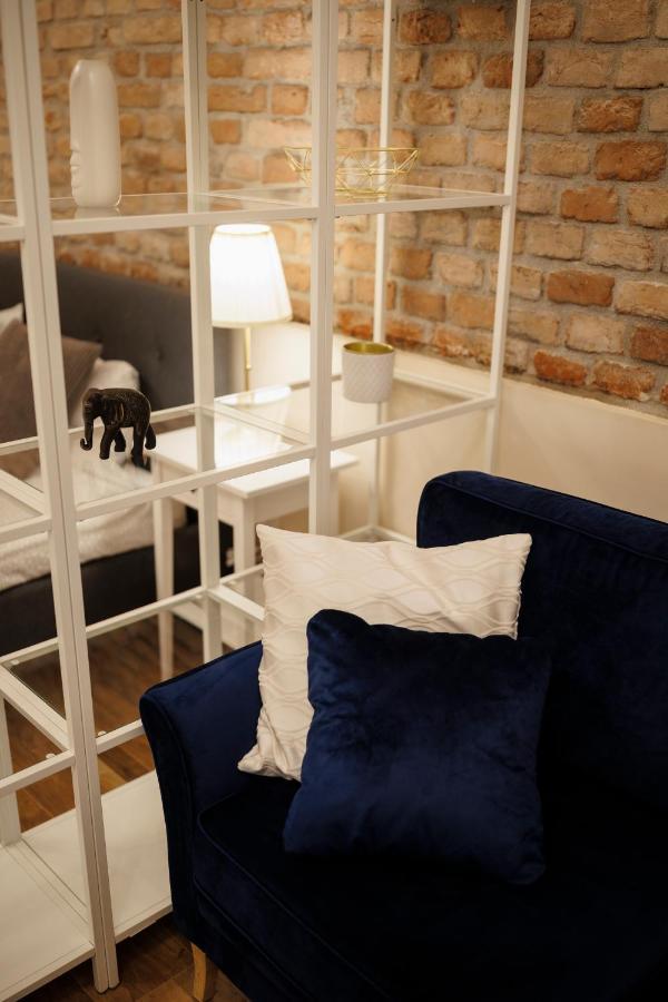 Jolie Flat In The Heart Of The City Тимишоара Экстерьер фото