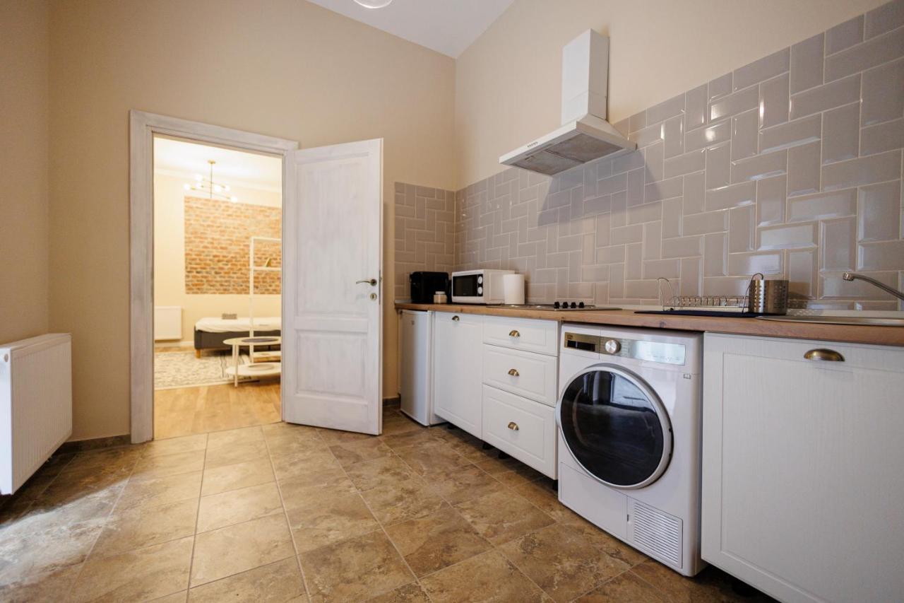 Jolie Flat In The Heart Of The City Тимишоара Экстерьер фото