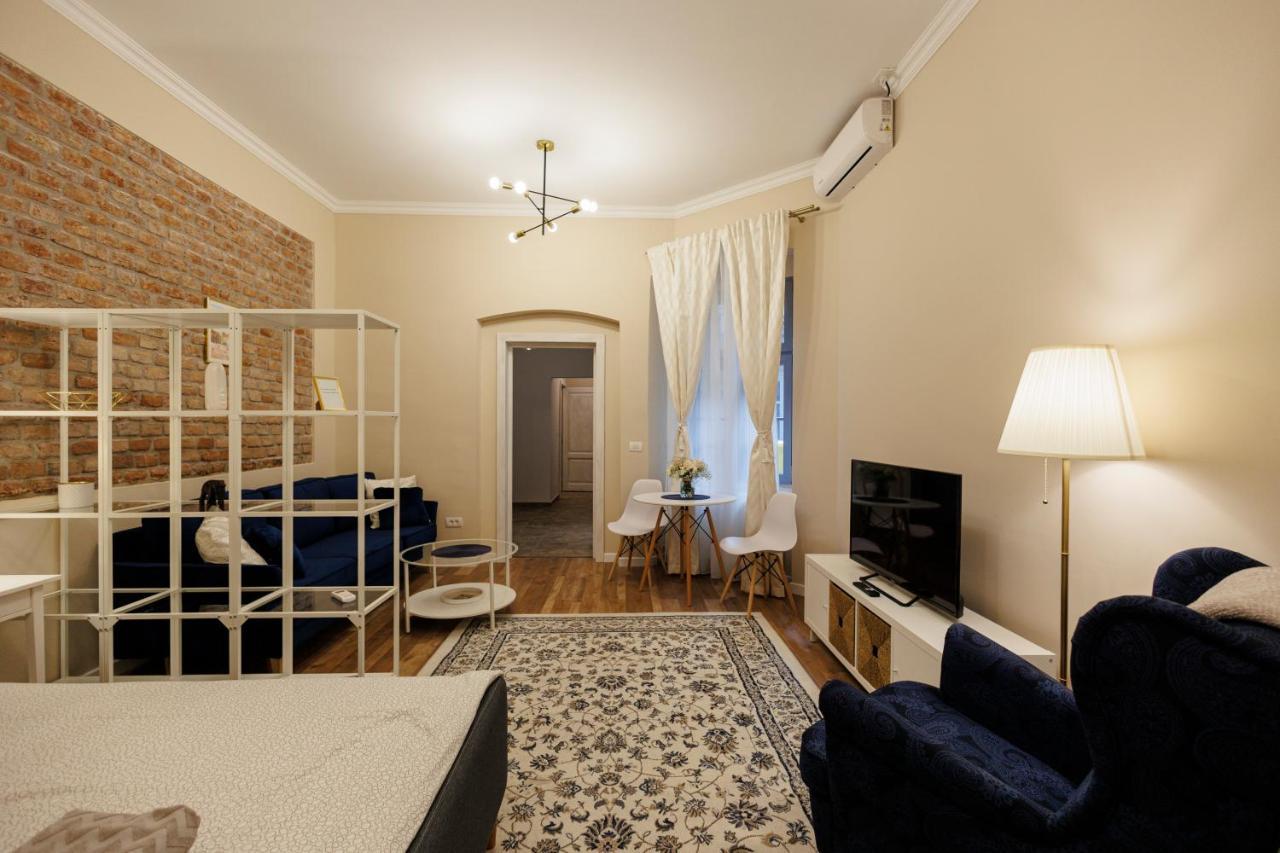 Jolie Flat In The Heart Of The City Тимишоара Экстерьер фото